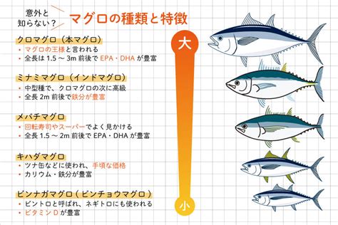 彼氏 マグロ|マグロ男の特徴や心理とは？彼氏がマグロ男だった時の対処法も .